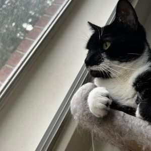 Meet your Posher, Sophia